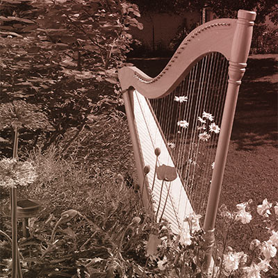harfa stojąca w zielonym ogrodzie