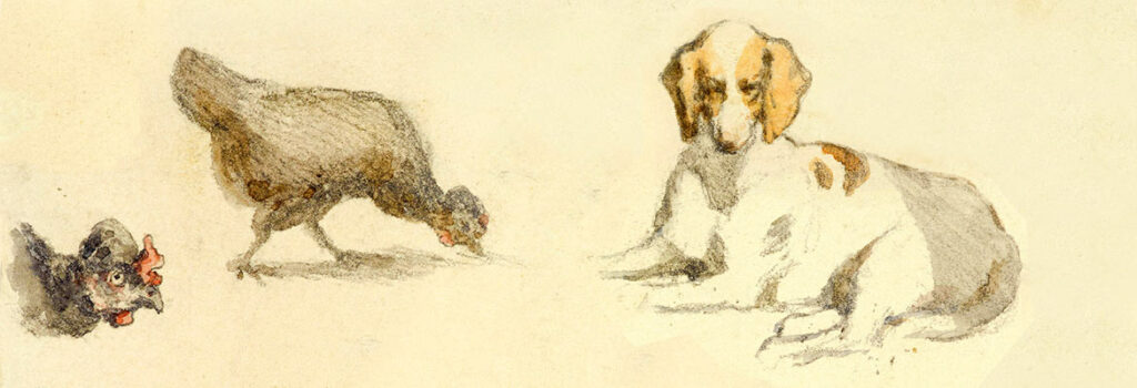 rysunek przedstawia kurę dziobiącą ziemię oraz leżącego psa
